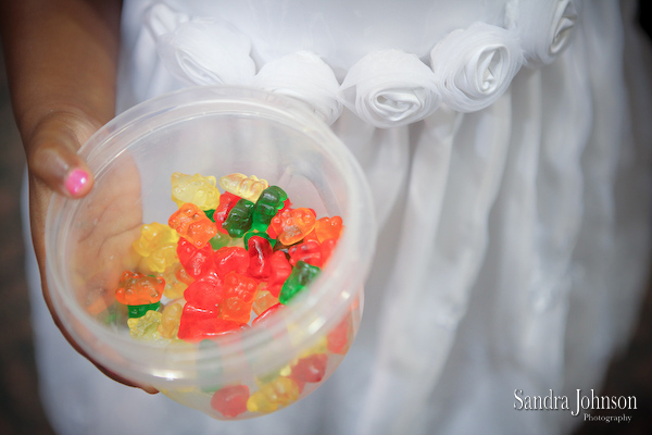 Best Harry P. Leu Gardens Wedding photographer - Sandra Johnson (SJFoto.com)